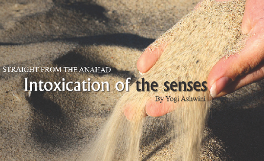 Intoxication of Senses