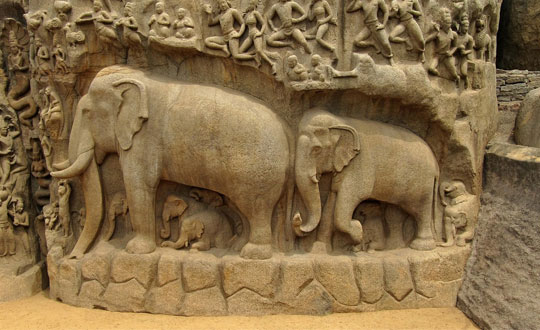 Veterinary Science In Ancient India