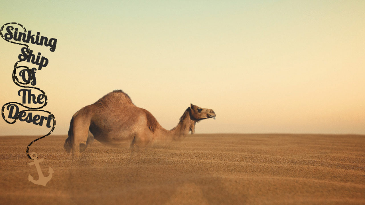 Camel – The Sinking Ship Of The Desert - The Inner World
