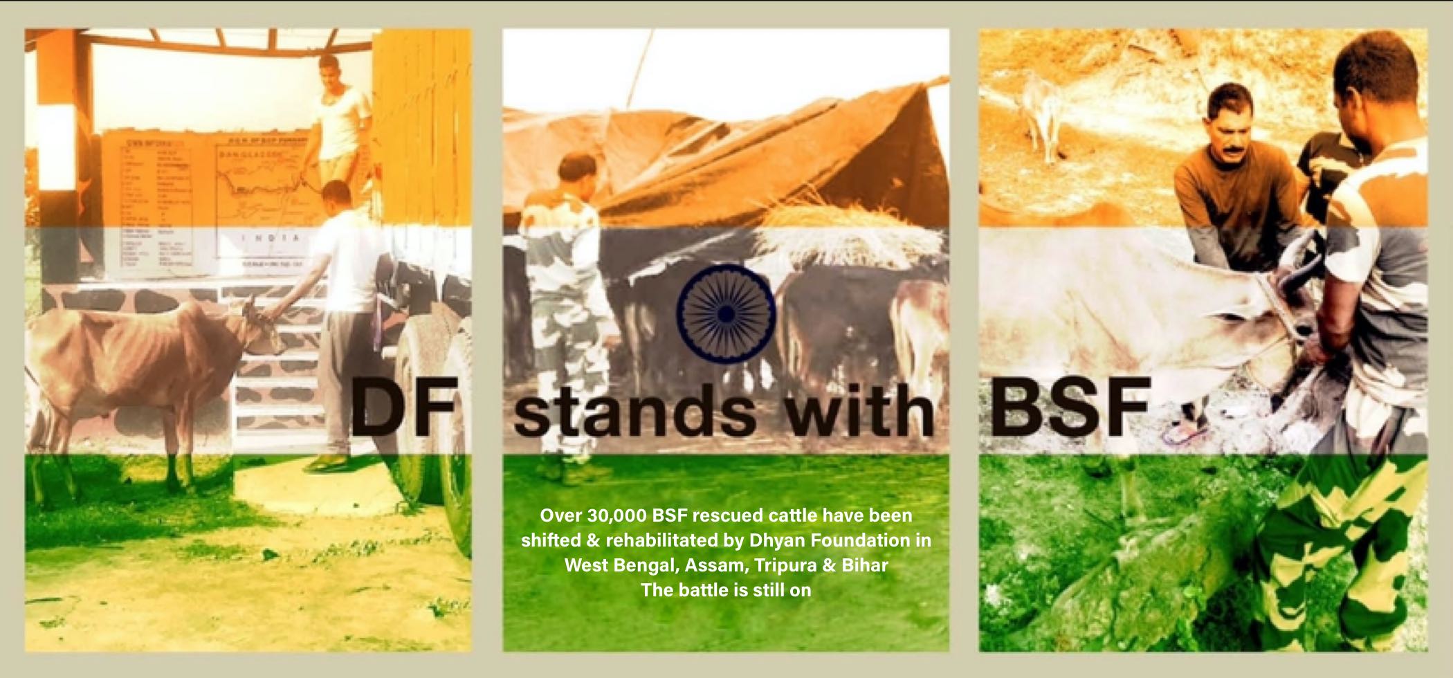 DF STANDS WITH BSF