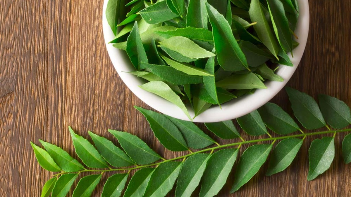 CURIOUS CASE OF CURRY LEAVES
